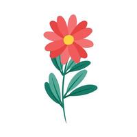 Hand drawn spring flower on white background vector