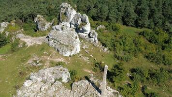 capre pascolo su bellissimo verde roccioso Highlands aereo video