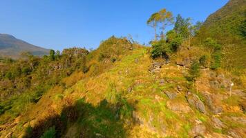 Märchen Berg Landschaft im Nord Vietnam video