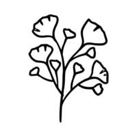 Handdrawn botanical floral vector