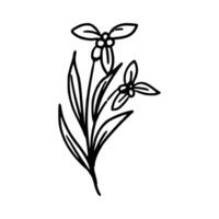 dibujado a mano flor y hojas vector