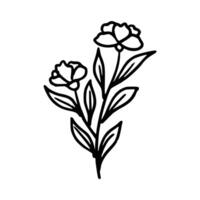 Handdrawn Flower and leaves vector