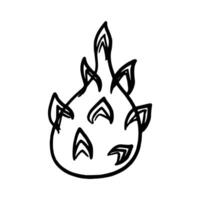 Handdrawn Dragon fruit vector