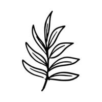 Handdrawn botanical floral vector