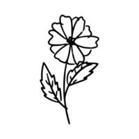 Handdrawn Flower and leaves vector