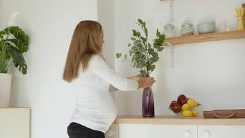 Pregnant fair-skinned woman decorates the house with eucalyptus branches in a vase video