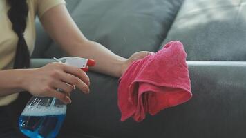 Woman cleaning table using rag and diffuser at home. video