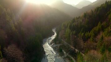 Antenne Aussicht von schön Schlucht mit Berg Fluss und Nadelbaum Wald beim Sonnenaufgang mit Dunst und Nebel im Deutschland auf Pollat Fluss, fussen. Drohne Aussicht von wunderbar alpin Schlucht mit Fluss und Wald. video