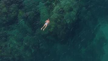 femmes à mer video