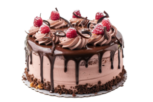 Chocolate Cake With Raspberries png