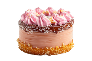 rosa glassa torta con spruzzatori png