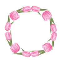 ritad för hand rosa tulpaner - vår blomma illustration png