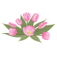 Hand-Drawn Pink Tulips - Spring Flower Illustration png