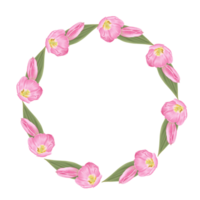 disegnato a mano rosa tulipani - primavera fiore illustrazione png