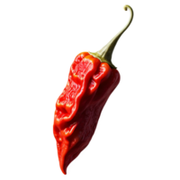 A red ghost pepper sliced lengthwise, revealing its fiery interior and seeds, with a shallow depth of fie png