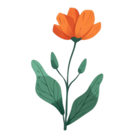 simple green leaves and orange flowers png