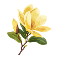 Yellow magnolia flower, in the style of clip art, flat illustration png