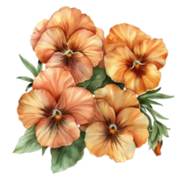 watercolor Pansy flower bouquet, orange color flowers png