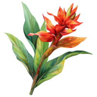 Beautiful single blooming tropical flower, clipart vinyl decal, in hues of red and orange with green leaves png