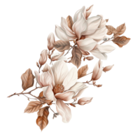 magnolia flowers, leaves and vines in soft muted colors png