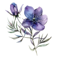 watercolor wild flower, purple color png