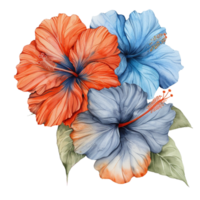 een mooi waterverf illustratie van een boeket met drie bloemen png