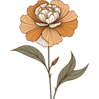 minimalista cravo flor png