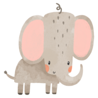 A little elephant stands and smiles. Cute baby illustration on isolated background png