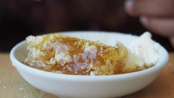 butter cream and honey in a bowl on table . video