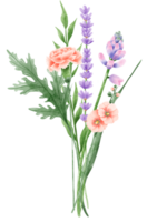 ritad för hand vattenfärg illustration ClipArt av detaljerad vår vild äng buketter samling blommig arrangemang hälsning kort bröllop inbjudan elegant eterisk natur png