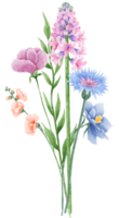 disegnato a mano acquerello illustrazione clipart di dettagliato primavera fiori selvatici prato mazzi di fiori collezione floreale accordi saluto carte nozze invito elegante etereo natura png