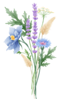 handgemalt Aquarell Illustration Clip Art von detailliert Frühling Wildblumen Wiese Blumensträuße Sammlung Blumen- Vereinbarungen Gruß Karten Hochzeit Einladung elegant ätherisch Natur png