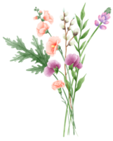 hand getekend waterverf illustratie clip art van gedetailleerd voorjaar wilde bloemen weide boeketten verzameling bloemen regelingen groet kaarten bruiloft uitnodiging elegant etherisch natuur png