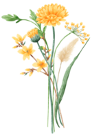 desenhado à mão aguarela ilustração clipart do detalhado Primavera flores silvestres Prado buquês coleção floral arranjos cumprimento cartões Casamento convite elegante etéreo natureza png