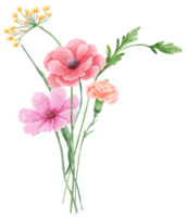 disegnato a mano acquerello illustrazione clipart di dettagliato primavera fiori selvatici prato mazzi di fiori collezione floreale accordi saluto carte nozze invito elegante etereo natura png