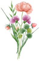 handgemalt Aquarell Illustration Clip Art von detailliert Frühling Wildblumen Wiese Blumensträuße Sammlung Blumen- Vereinbarungen Gruß Karten Hochzeit Einladung elegant ätherisch Natur png