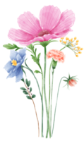 disegnato a mano acquerello illustrazione clipart di dettagliato primavera fiori selvatici prato mazzi di fiori collezione floreale accordi saluto carte nozze invito elegante etereo natura png