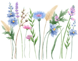 Handdrawn watercolor illustration clipart of detailed Spring Wildflowers meadow compostions collection Floral arrangements greeting cards wedding invitation Elegant ethereal nature png