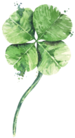 Four Leaf Clover.Hand draw with watercolor.Patricks day.Lucky clover. png