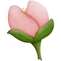 blommor vattenfärg element png