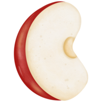 Pomme aquarelle éléments png