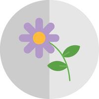 Asteraceae Flat Scale Icon vector