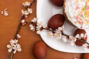 Easter composition. A blooming apricot branch, painted eggs and a glazed Easter cake decorated with sugar sprinkles photo