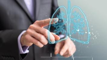 Healthy Human Lungs 2d illustration photo