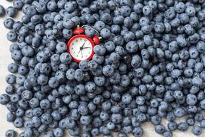 Creative concept composition flat lay top view red alarm clock blueberry background copy space. Template greeting card text social media blogs photo