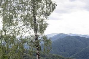 Mountain path on hill in summer landscape photo