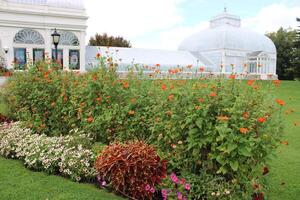 búfalo nuevo York botánico jardines edificio octubre 17 2022 foto