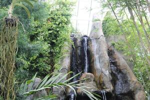 Waterfall Feature In An Indoor Patio Garden. photo