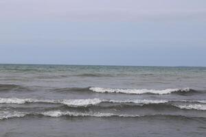 arboleda playa estado parque en lago erie en búfalo nuevo York foto