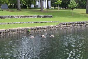 View of Delaware Park In Buffalo New York. photo